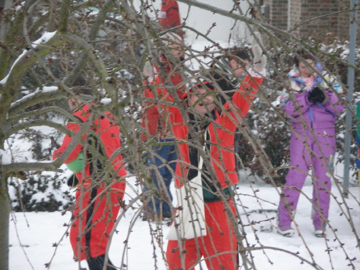 Rosenmontag2010 262.jpg